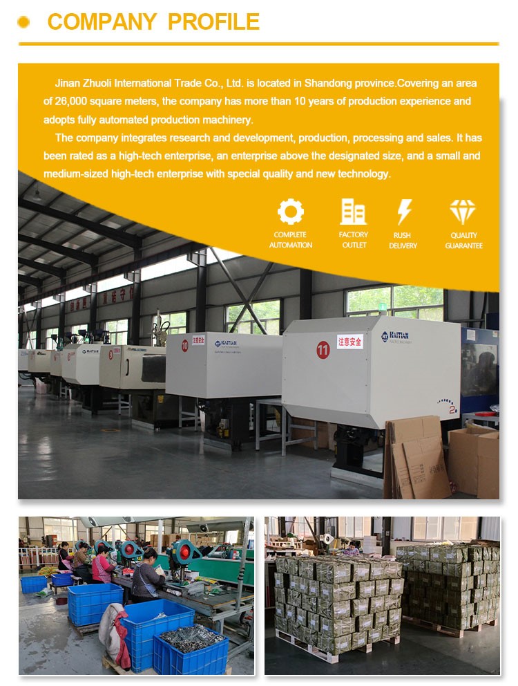 perfil de companhia Company Profile