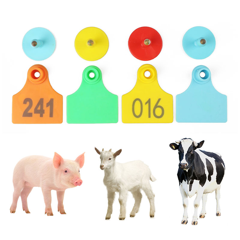 etiquetas de orelha de animais