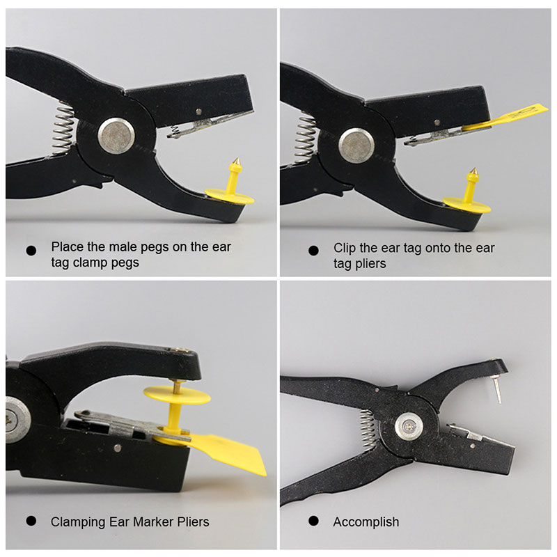 Aplicações de brincos de animais